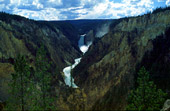 Yellowstone Falls.jpg (17064 Byte)